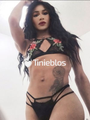 Prepagos bogota - LIJACA NORTE